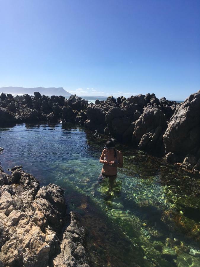 Rondawel With Sea View Lejlighed Kleinmond Eksteriør billede